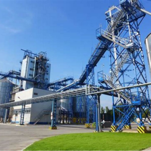 DAPPMAN warns over Dangote refinery lawsuit challenging fuel import licences issued by NMDPRA, raising concerns about Nigeria’s downstream fuel supply stability.