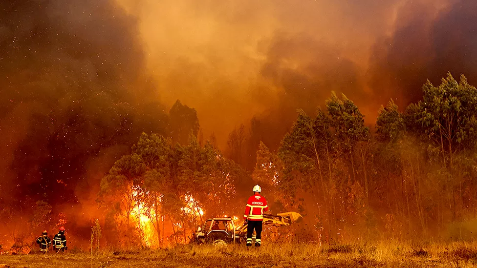 Heatwave: Firefighters tackle wildfires in Portugal