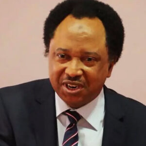 Shehu Sani: Electronic Transmission Alone Won’t Guarantee Free Elections