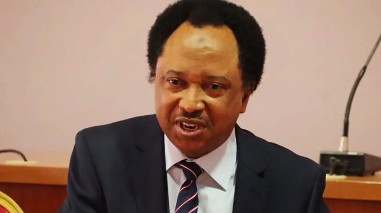 Shehu Sani: Electronic Transmission Alone Won’t Guarantee Free Elections