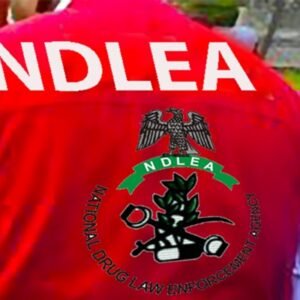 NDLEA spokesman Femi Babafemi speaks on plans to remove the fine option for convicted drug traffickers and introduce mandatory prison sentences.
