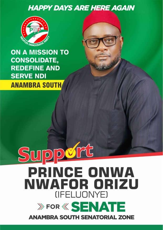 Why Anambra South needs Onwa Nwafor Orizu in Senate 