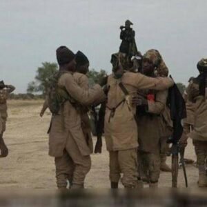 Nigerian Army troops of Operation Hadin Kai during a counter-terrorism operation in North-East Nigeria following the surrender of top ISWAP leaders and 76 fighters.