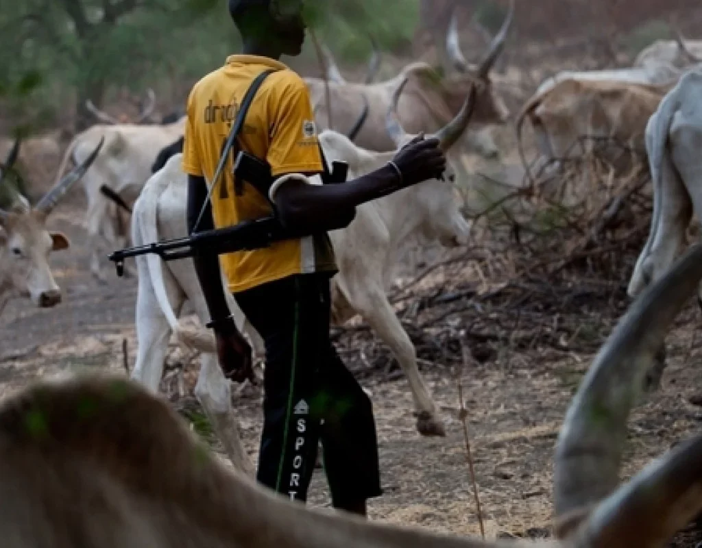 Herdsmen Violence and the Unfolding Tragedy, gong-news.com