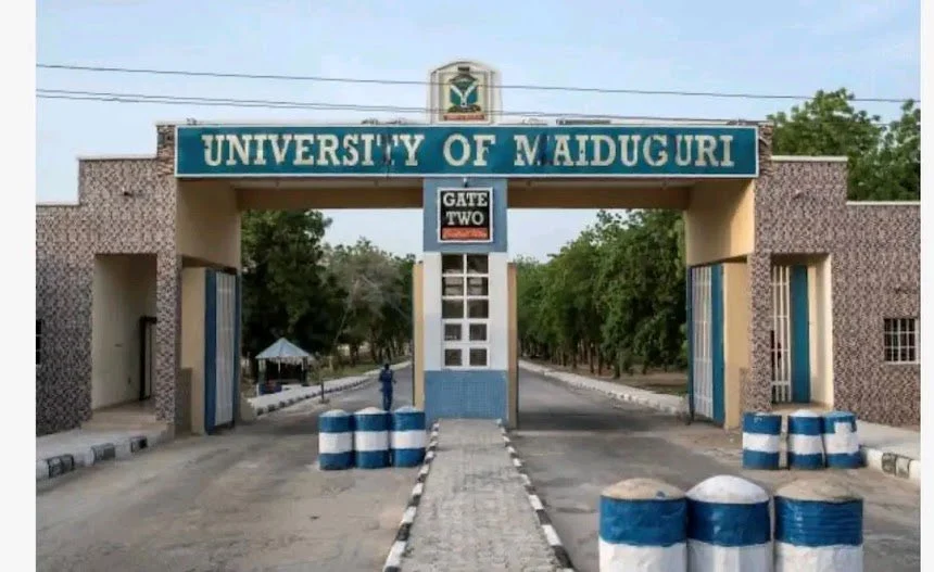 Tinubu renames University of Maiduguri after Buhari