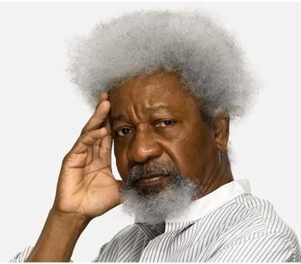 Visas are privilege, not right, US replies Soyinka Israel