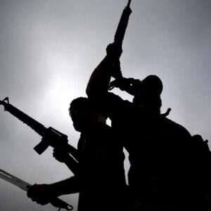 Boko Haram Storms Adamawa Community, Kidnaps Eight Family Members Including Newborn, gong-news.com