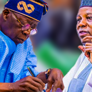 Vice President Kashim Shettima speaking at a book launch in Abuja as President Bola Tinubu’s portrait appears alongside.