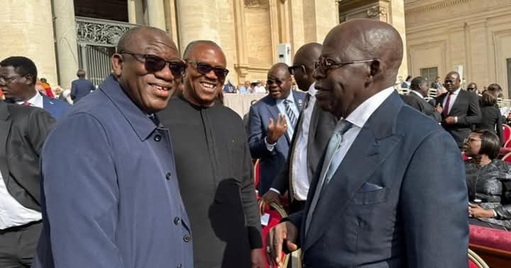Fayemi explains how Peter Obi and President Bola Tinubu briefly exchanged greetings during Pope Leo XIV inauguration at the Vatican.