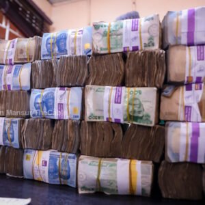 NECA Director-General Adewale-Smatt Oyerinde calls for accountability over ₦10.4 trillion shared with states and local governments from petrol subsidy savings.
