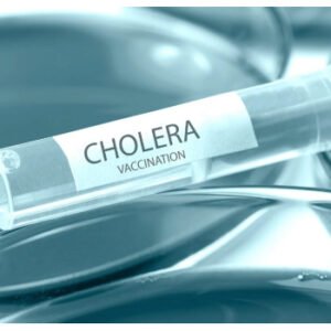 Health workers respond to a cholera outbreak in Borno State as authorities report 39 deaths and 272 new cases across affected communities.