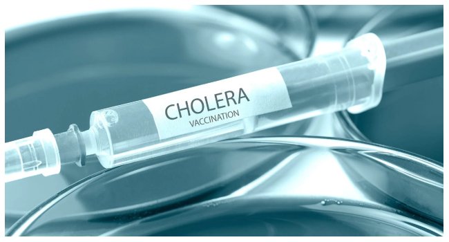 Health workers respond to a cholera outbreak in Borno State as authorities report 39 deaths and 272 new cases across affected communities.