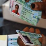 INEC Permanent Voter Cards laid out during distribution exercise ahead of Ekiti State governorship election, showing organised voter registration process.