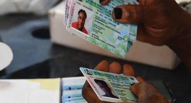 INEC Permanent Voter Cards laid out during distribution exercise ahead of Ekiti State governorship election, showing organised voter registration process.