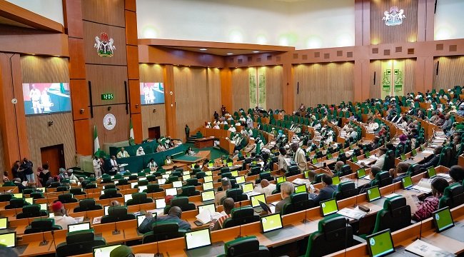 Members of the House of Representatives during plenary as lawmakers pass the State Police Bill while opposition members stage a walkout.