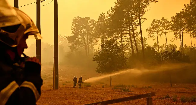 Firefighters battle a massive wildfire near Bordeaux as thick smoke engulfs forests during record blazes in France.