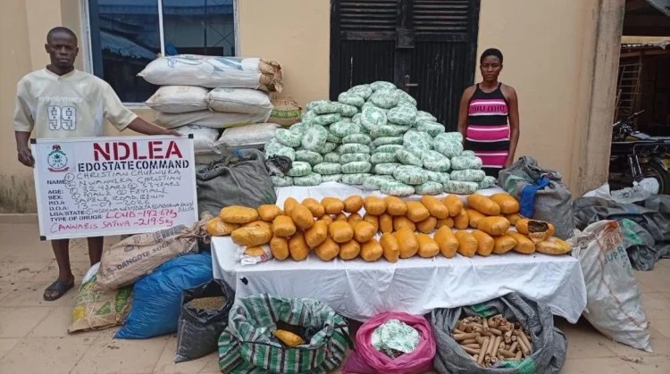 NDLEA operatives display cartons of seized tramadol pills recovered from trailers during a cross-border anti-drug operation in Nigeria.