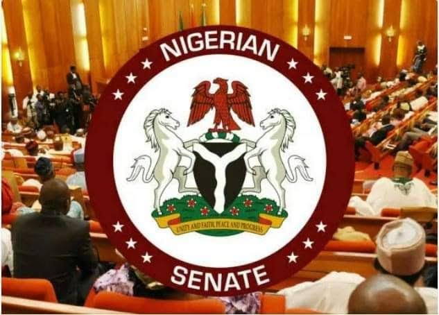 Head of the Civil Service of the Federation, Didi Walson-Jack, appears before the House of Representatives ad hoc committee investigating the PFIPC scandal.