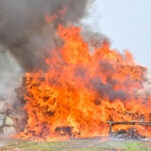 NDLEA officials destroy over 329,865 kilogrammes of illicit drugs worth ₦301 billion at Navy Town in Ojo, Lagos.
