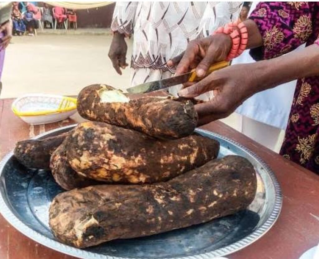 Anambra State Government bans parallel New Yam festival celebrations in communities.
