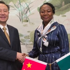 NIS Comptroller-General Kemi Nandap at the global Sub-Forum on Migration Management Cooperation in China.
