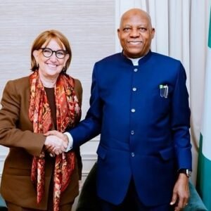 Vice President Kashim Shettima meets Costa Rican UN Secretary-General candidate Rebeca Grynspan in New York.
