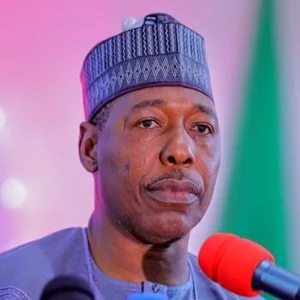 Borno State Governor Babagana Zulum speaking during a media engagement in Maiduguri.