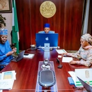 Vice President Kashim Shettima chairs the 161st National Economic Council meeting virtually on October 22, 2026.