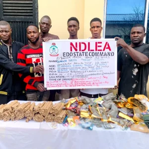 NDLEA officers with suspected drug trafficking suspects and seized narcotics in Edo State