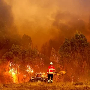 Heatwave: Firefighters tackle wildfires in Portugal