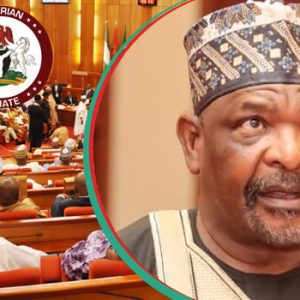 Senate suspends Ningi over ‘false budget padding claim’
