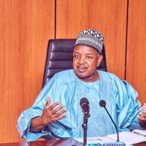 Minister of Budget and Economic Planning Abubakar Bagudu speaking at a Senate Press Corps workshop in Abuja.