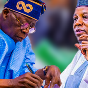 Vice President Kashim Shettima speaking at a book launch in Abuja as President Bola Tinubu’s portrait appears alongside.