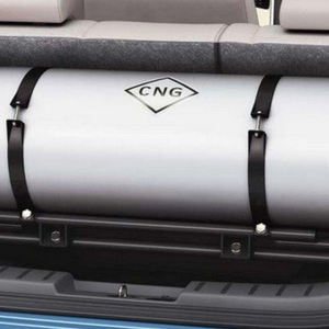 FG launches scheme to deploy CNG buses in universities, gong-news.com