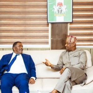 Visa: Nigeria, Namibia dialogue on resolving challenges 