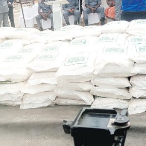 Food crisis: Lagos, Ogun, Customs unveil palliatives