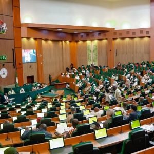 Members of the House of Representatives during plenary as lawmakers pass the State Police Bill while opposition members stage a walkout.