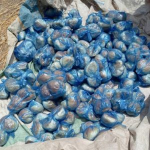 ISWAP: Army uncovers terrorist’s bread production factory in Borno