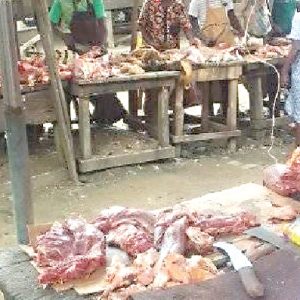 Anthrax disease: Deadly disease outbreak in human and animal