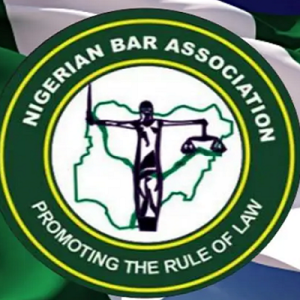 Osun magistrates: Poor salary, courtrooms taken over by snakes, reptiles – NBA