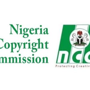Nigerian govt shuts down piracy site, MovieBox.ng