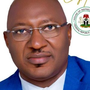 Enugu Rep: Tribunal sacks LP’s Nnamchi declares PDP candidate winner