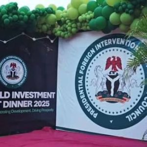 Umar Ahmed tells House of Representatives committee that the Ministry of Foreign Affairs never approved PFIPC's request to host a World Investment Summit in Nigeria.