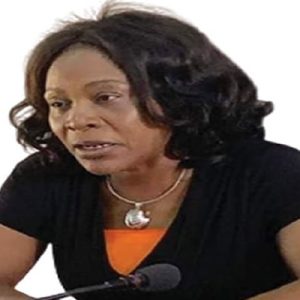 They insult me, it won’t stop me from conducting credible election – Imo REC