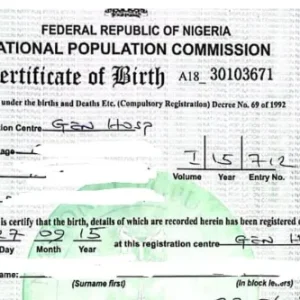 Screenshot showing the National Population Commission's new online portal for birth and death certificate applications in Nigeria.