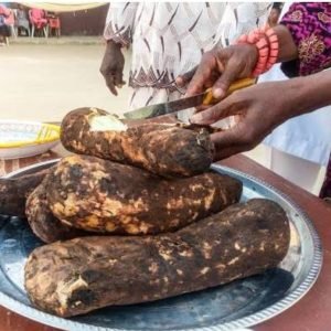 Anambra State Government bans parallel New Yam festival celebrations in communities.