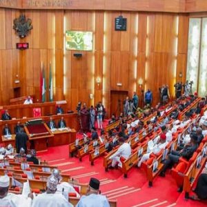 BREAKING: Senate postpones screening of ministerial nominees