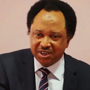Shehu Sani: Electronic Transmission Alone Won’t Guarantee Free Elections