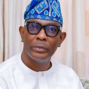 Reason I pushed police officer — Ogun rep member react to trending video