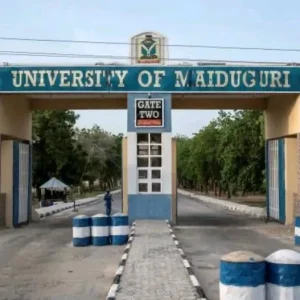 Tinubu renames University of Maiduguri after Buhari